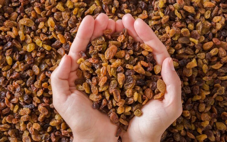 Kuru üzümde sezon güzel geçecek