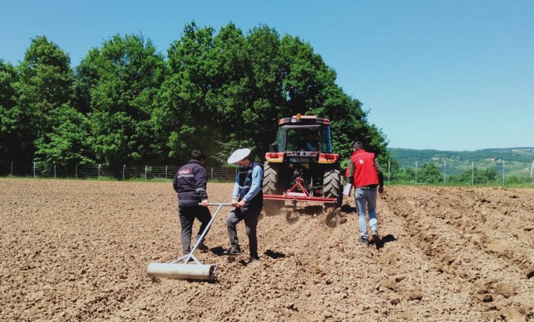 Kocaeli İzmit’te üretim bahçelerine bakım