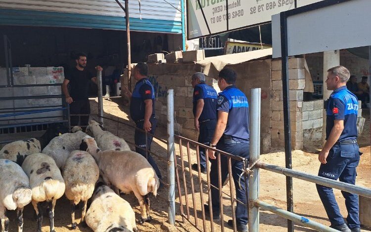 Zabıtadan kaçak kesim uyarısı Zabıtadan kaçak kesim uyarısı