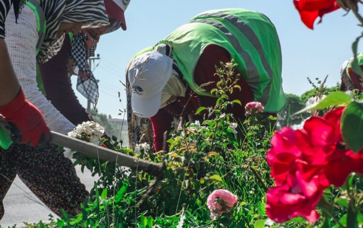 Kütahya çiçeklerle renkleniyor Kütahya çiçeklerle renkleniyor