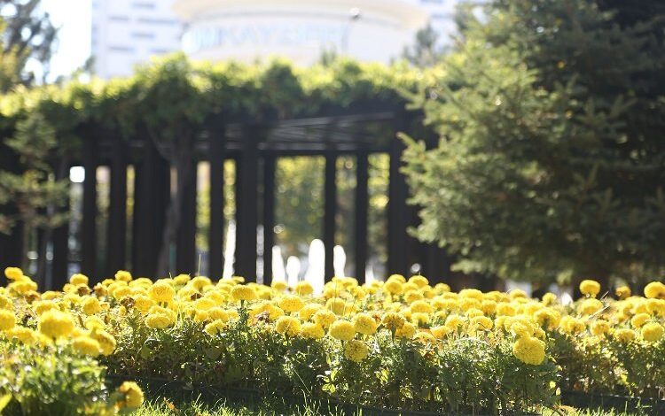 Kayseri’ye ‘büyük’ yeşil katkı Kayseri’ye ‘büyük’ yeşil katkı