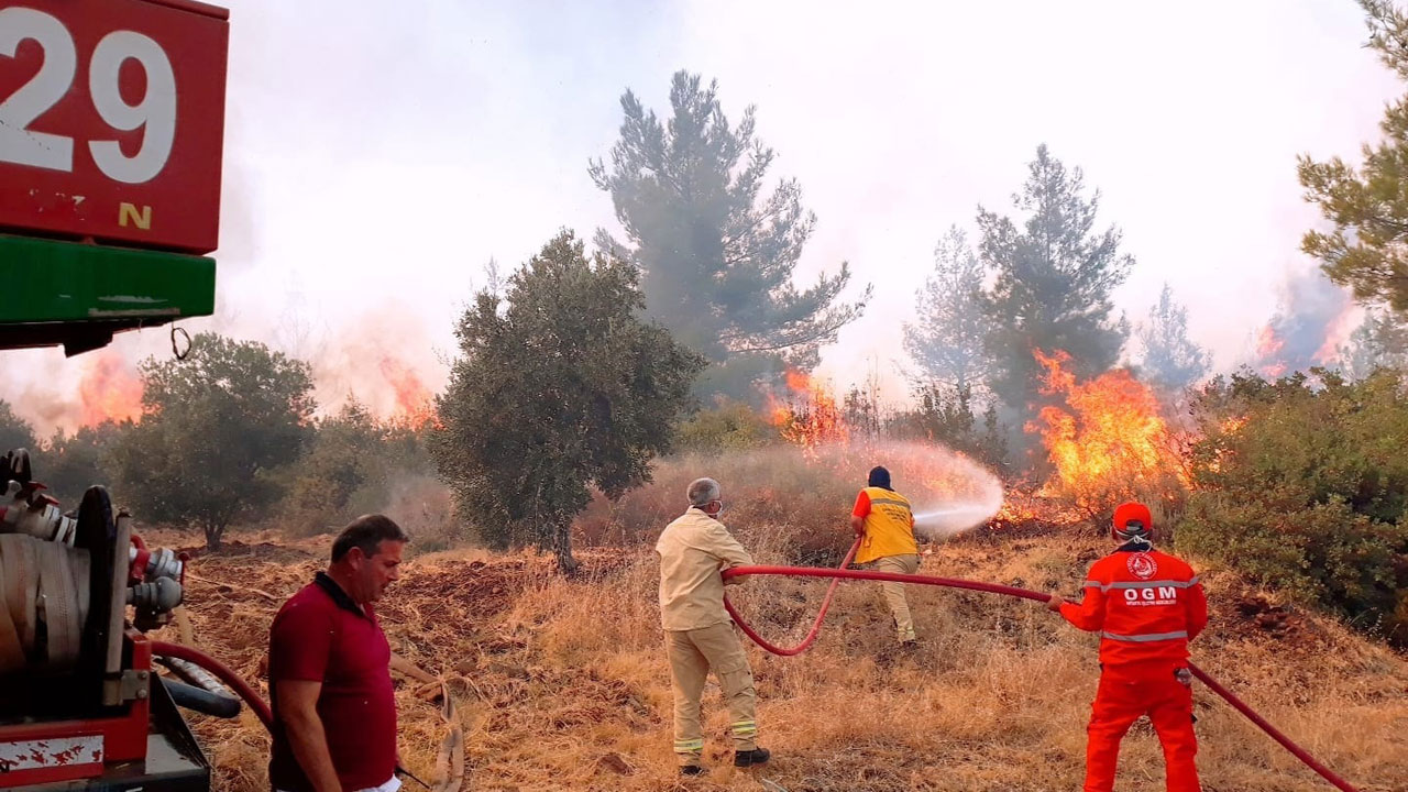 Hatay orman yangınları belgesel oldu Hatay orman yangınları belgesel oldu