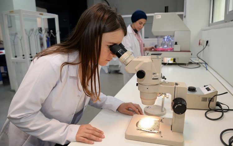 İŞKUR’dan gençlere ‘staj portalı’ müjdesi