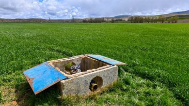 Tarlada tasarruflu sulama dönemi