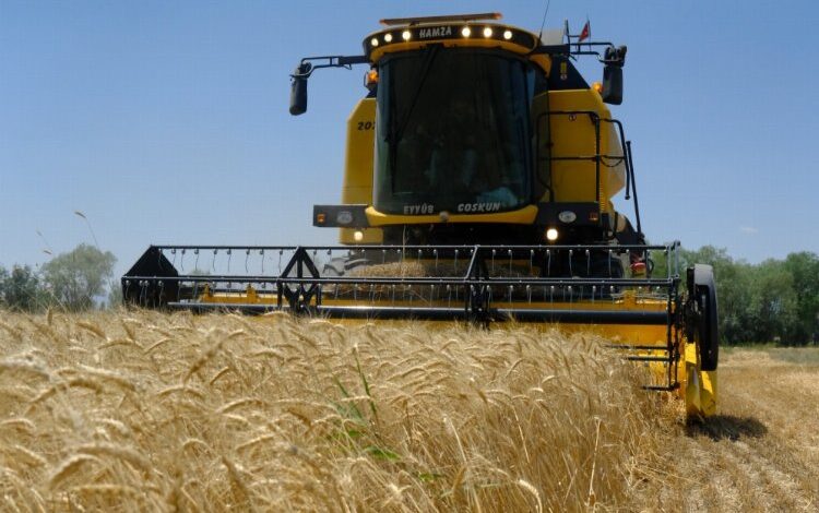 Küçük çiftçiye kazandıran destek Küçük çiftçiye kazandıran destek