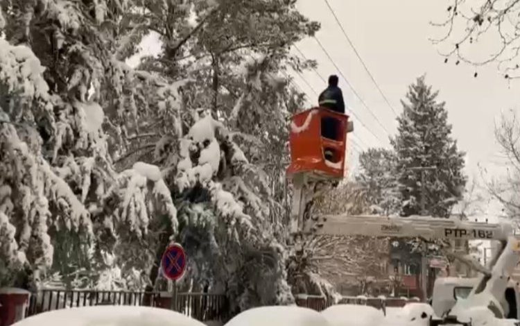 Elektrik tellerinden çıkan kıvılcımlar korkuttu Elektrik tellerinden çıkan kıvılcımlar korkuttu