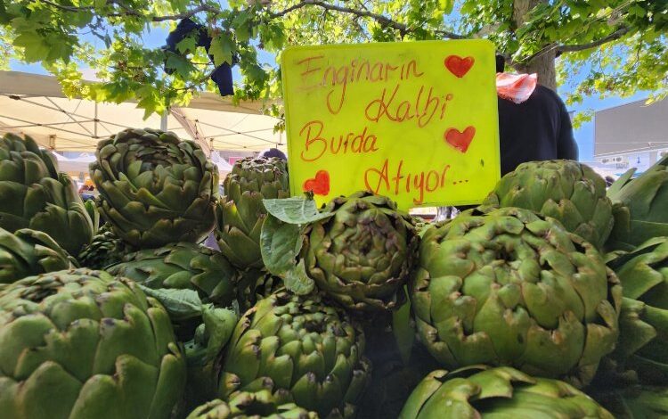 İzmir Urla enginara doydu İzmir Urla enginara doydu