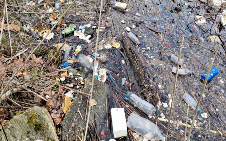 Sakarya Büyükşehir Sapanca Gölü’nü koruyor: Vatandaşlara önemli uyarı