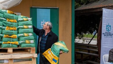 Kocaeli çiftçilere tohum dağıtıyor