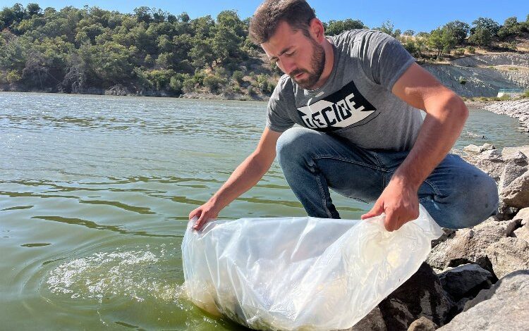 30 bin yavru sazan göletlere salındı 30 bin yavru sazan göletlere salındı
