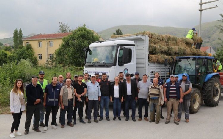 Eskişehir İnönü’de manda yetiştiricilerine balya desteği Eskişehir İnönü’de manda yetiştiricilerine balya desteği