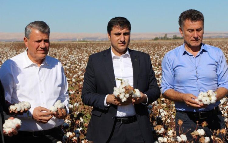 Şanlıurfa’dan TMO alım politikalarına eleştiri Şanlıurfa’dan TMO alım politikalarına eleştiri