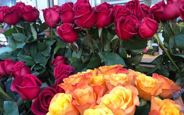 Bursa’da Sevgililer Günü heyecanı başladı: ‘Gül’ün boynu bükük