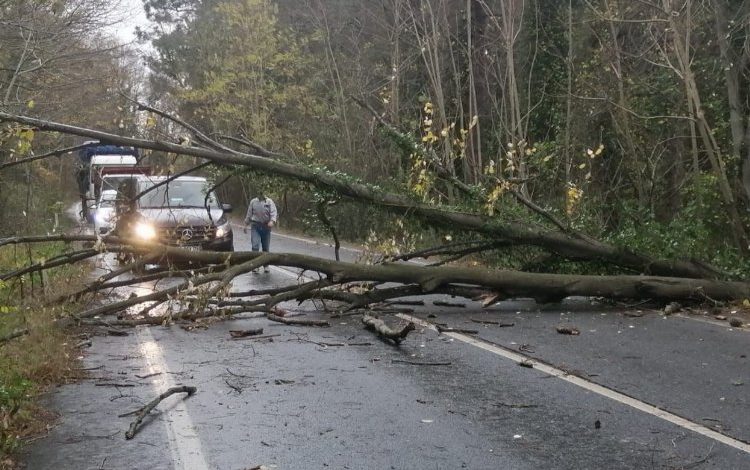 AFAD’dan lodos bilançosu: 5 ölü, 52 yaralı