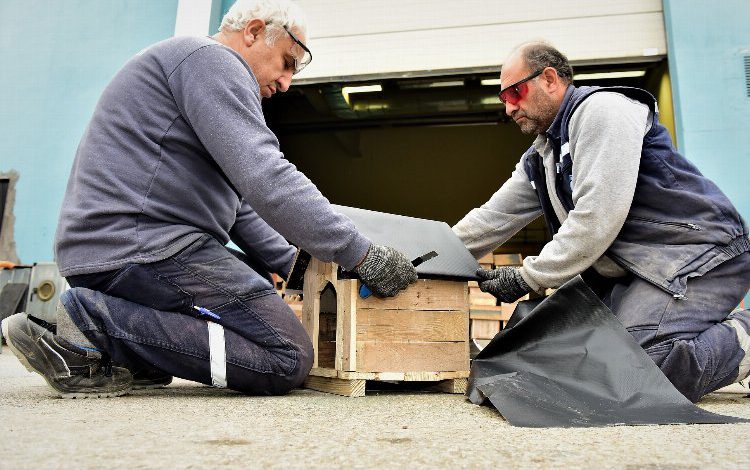 Bursa Yıldırım’da çelenkler kedi yuvası oldu