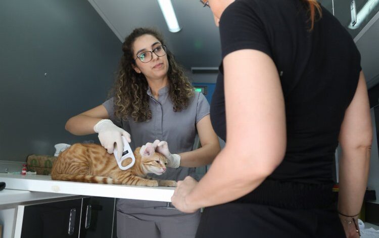 Bodrum’un gezici ekip Bitez’de