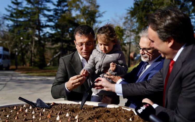 İstanbul Lalesi evine döndü İstanbul Lalesi evine döndü