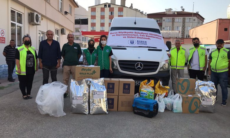 Bursa Büyükşehir Belediyesi yangın bölgesindeki can dostları unutmadı