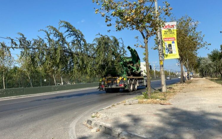 Bursa’da yeşil transferi sürüyor