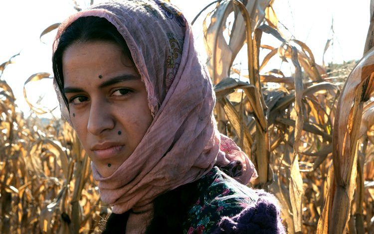 ‘Dilberay’ ikinci haftada da zirvede