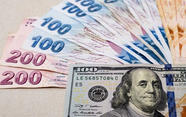 Dolar/TL kuru 25 TL’yi aştı Dolar/TL kuru 25 TL’yi aştı