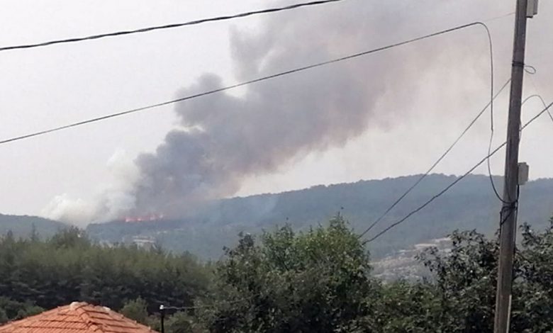 Aydın Bozdoğan’da orman yangını başladı Aydın Bozdoğan’da orman yangını başladı