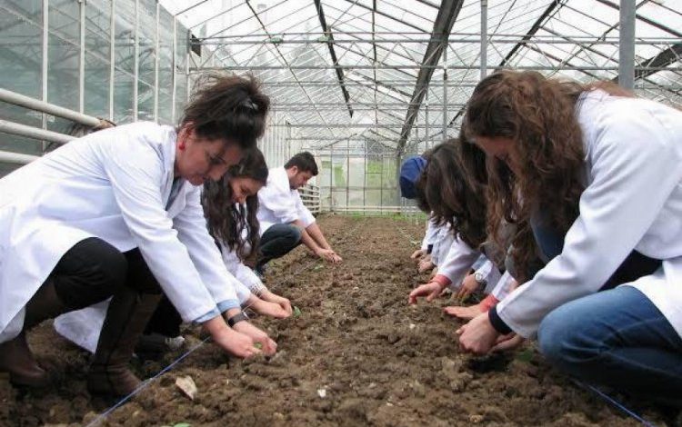 “Bursa’da tarıma yeterli önem verilmiyor” “Bursa’da tarıma yeterli önem verilmiyor”