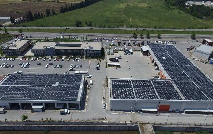 Santral devrede girdi, 5 bin 600 ağaç kurtuldu