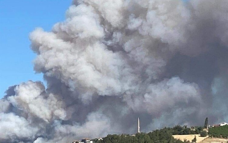 Çanakkale’de alevler yayılıyor Çanakkale’de alevler yayılıyor