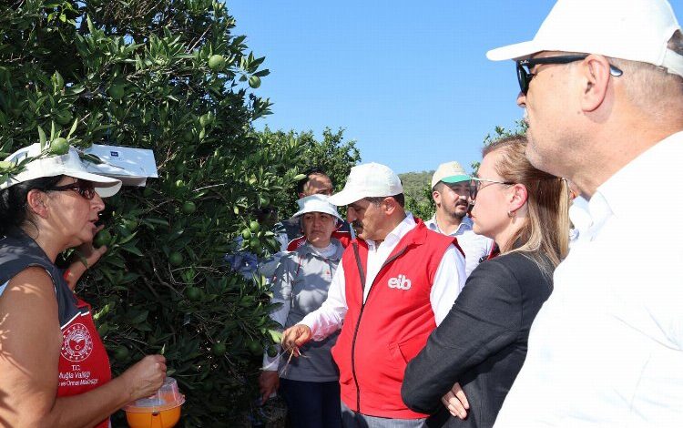 Ege ihracatçıları ‘iyi tarım uyguamalarını’ Muğla’da sürdürdü Ege ihracatçıları ‘iyi tarım uyguamalarını’ Muğla’da sürdürdü