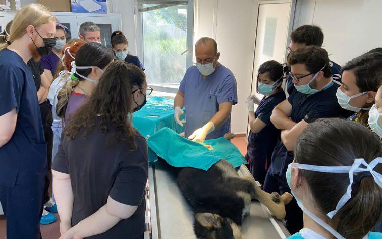 Bursa’da geleceğin veterinerlerine Osmangazi’de uygulamalı eğitim Bursa’da geleceğin veterinerlerine Osmangazi’de uygulamalı eğitim