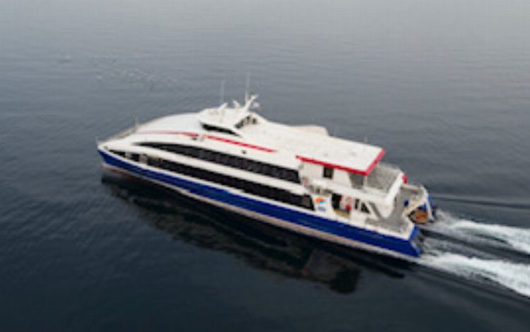 İDO ‘kağıtsız ofis’ modeliyle ağaçları koruyor İDO ‘kağıtsız ofis’ modeliyle ağaçları koruyor