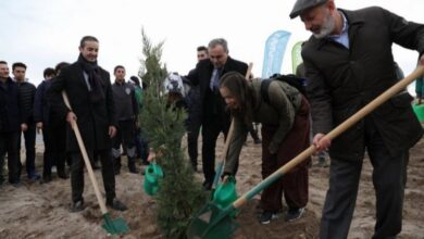 Kayseri Kocasinanlıların dikili ağaç sayısı artıyor