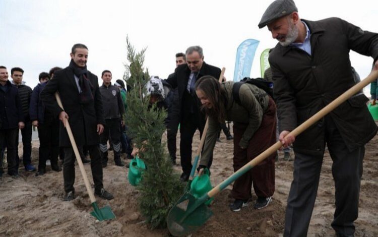 Kayseri Kocasinanlıların dikili ağaç sayısı artıyor Kayseri Kocasinanlıların dikili ağaç sayısı artıyor