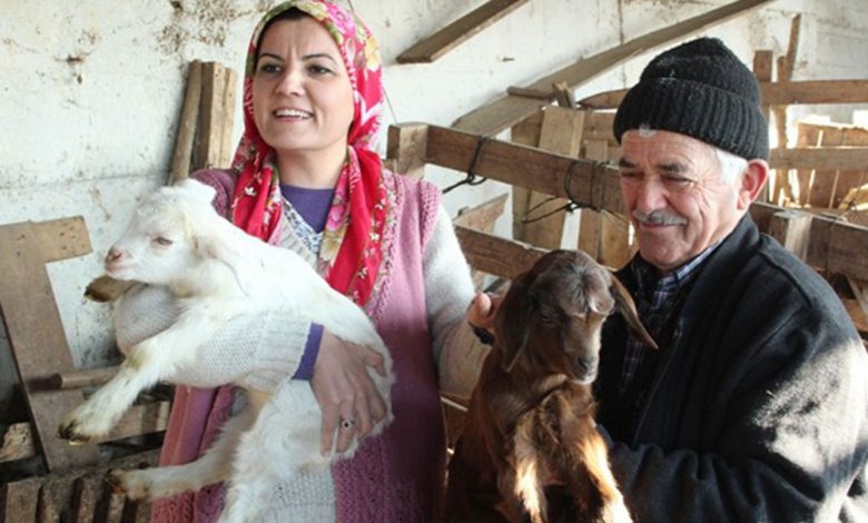 Kocaeli İzmit’te süt üreticilerine destek Kocaeli İzmit’te süt üreticilerine destek