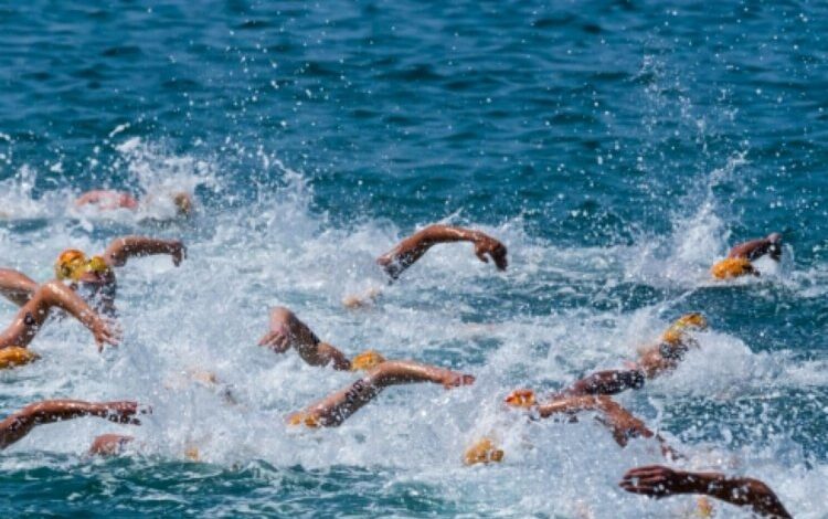 Bu yıl kulaçlar Kerpe’de atılacak Bu yıl kulaçlar Kerpe’de atılacak