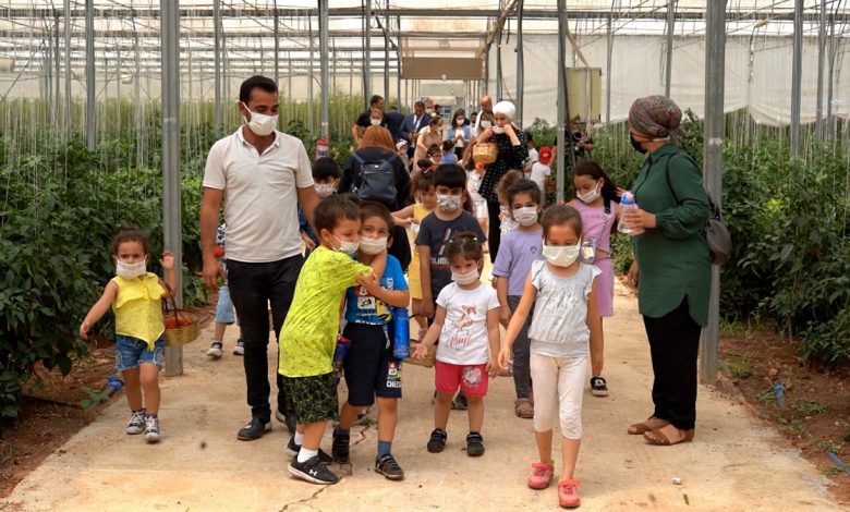Gaziantep’te minik ellerinden büyük emekler Gaziantep’te minik ellerinden büyük emekler