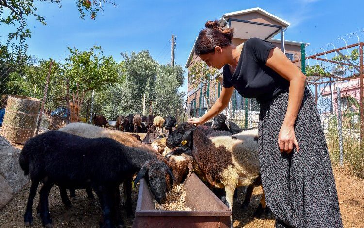 Köye tersine göçü tetikledi Köye tersine göçü tetikledi