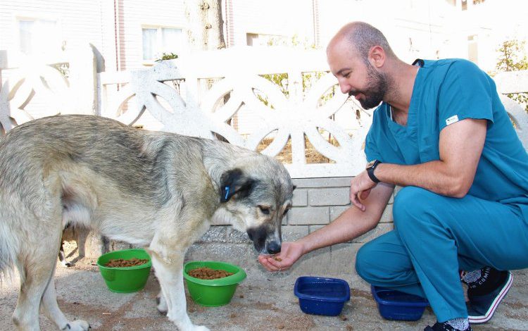 İzmir Menderes’te sokak hayvanları unutulmuyor İzmir Menderes’te sokak hayvanları unutulmuyor