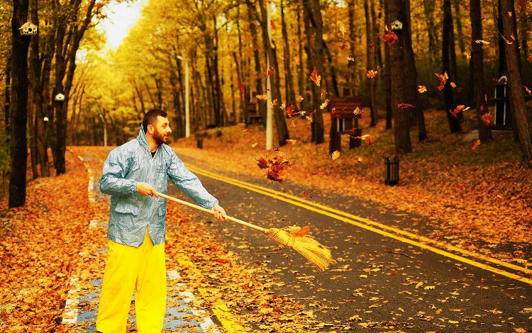 Sakarya Ormanı’nda sonbahar Sakarya Ormanı’nda sonbahar