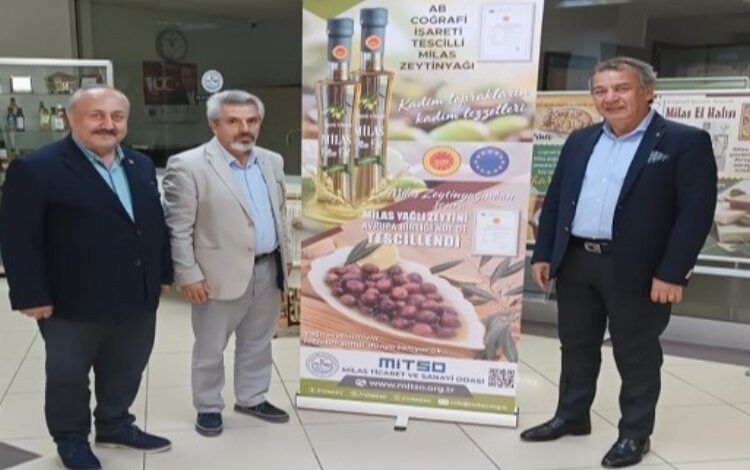 Coğrafi işaretli Milas zeytini ‘Hasat Şenliği’nde taçlandı