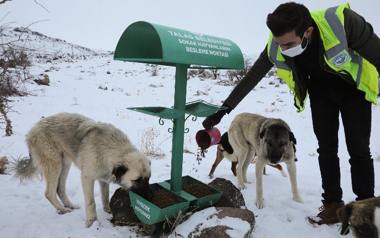 Kayseri Talas’ta can dostlara şefkat eli Kayseri Talas’ta can dostlara şefkat eli