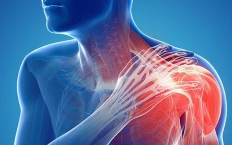 ‘Omuz vücudun en hareketli eklemi’