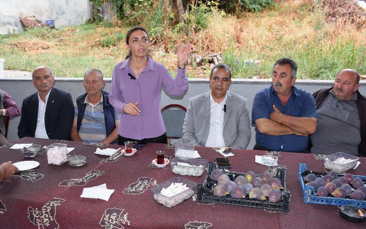 Bursa’da incir üreticilerinin isyanına CHP’liler ses oldu