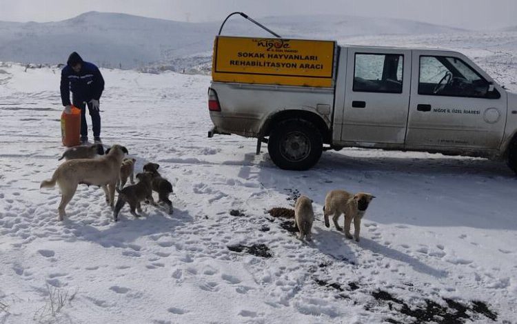 Soğuk kış gününde içimizi ısıtan çalışma Soğuk kış gününde içimizi ısıtan çalışma