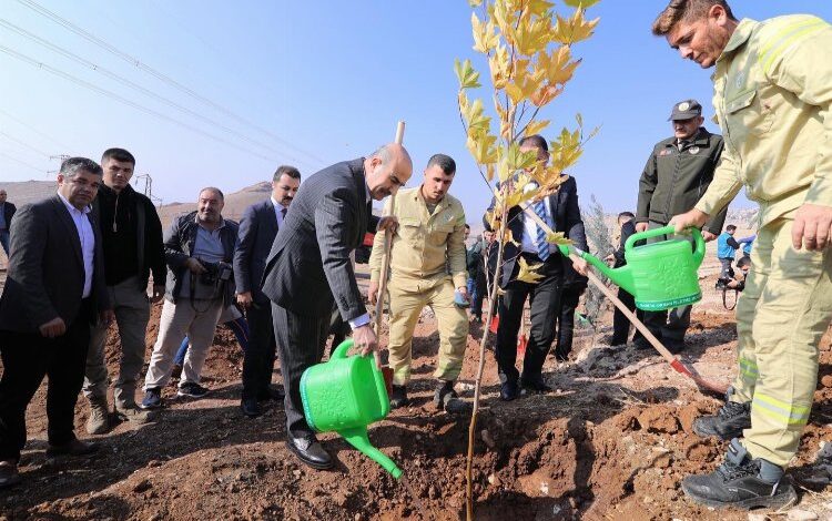 Mardin’de 23 bin 700 fidan toprakla buluştu