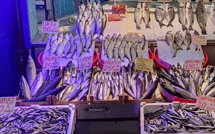 Balığa kota geliyor! Fiyatlar dengelenecek