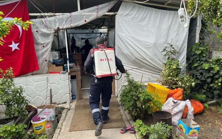 Hatay’da kapsamlı ilaçlama