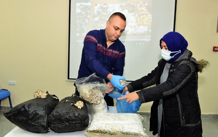 Bursa Yıldırım’da girişimciler ‘mantar’ gibi çoğalacak Bursa Yıldırım’da girişimciler ‘mantar’ gibi çoğalacak