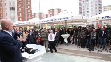 Kayseri Kocasinan’da Kedi Kasabası açıldı